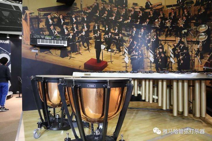 佰利乐乐器 试奏乐器