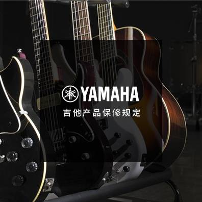 吉他、贝斯和音箱