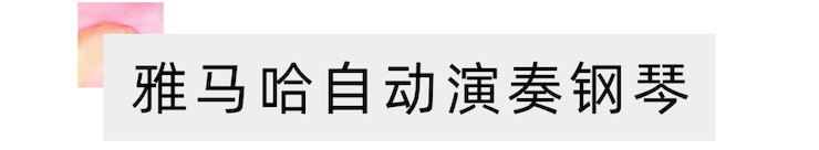 活动报道 | 远程艺术教育大师课活动—佰利乐艺术家赵宇大师课