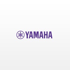 佰利乐钢琴核心经销商赴美研修，共瞩佰利乐科技之光